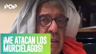 COCO CONVIVIENDO 3 DÍAS CON MURCIÉLAGOS | #CódigoSily