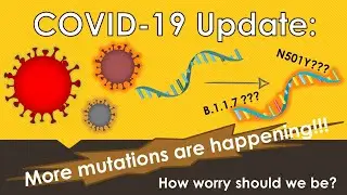 COVID 19 Update || More mutations are happening || B117 N501Y Mutation and Implications