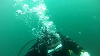 Aquatic Frontier SCUBA- Diving South Korea