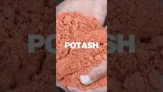 Everything You Need to Know About Potash