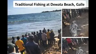 ගාල්ලේ දෙවට වෙරළේ මාදැල් රස්සාව -  | Traditional Fishing at Dewata Beach, Galle
