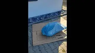 Blauer Sack auf Karton (AI Lied)