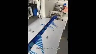 Pillow type single grain cleaning sheet packaging machine