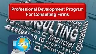 Professional Development Program for Consulting Firms