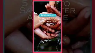 5 Ways to Save Water at Home 🏡 (and lower your water bill!)