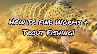 Worm tips+tricks for beginners! (trout fishing contest)