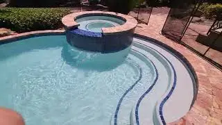 New Plaster Pool, Startup