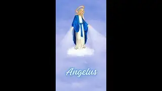 ANGELUS | 18 HORAS | 29/01/2026 #angelus #horadaavemaria