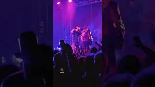 Koncert grupe Brkovi Folk u bašti KSTa !