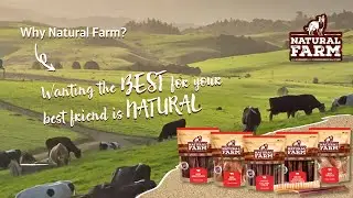 Truly Natural, Truly Delicious 🐾 [Natural Farm - 100% Natural Dog Chews]