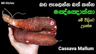 මඤ්ඤොක්කා මේ විදියට උයලා කාලා බලන්නකො රස | Manyokka | Cassava Mallum | @mskitchen3708