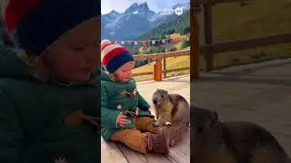 Pet Peeve: When the Marmot Judgments Begin!