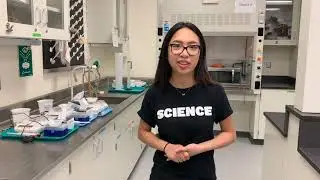 Faculty of Science Virtual Tour