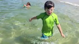 Swimming in cape cod 2017