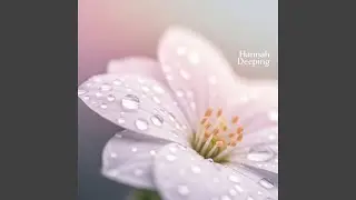 Felt Deeply