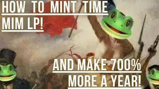 HOW TO MINT TIME MIM LP
