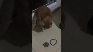 Child @buse 2 ! / Mary&rsquo;S LittlE LaB
