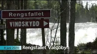 Rengsfallet 2020