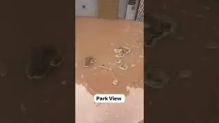 Park view city | Lahore flood | Aleem Khan society #trending #lahoreflood #flood2025
