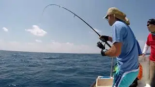 2017 Offshore Fishing for Little Tunny - Season Finale | 2017.08.18
