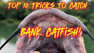 TOP 10 Tricks You Need To Know To Catch BANK Catfish!!