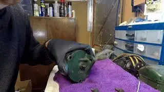 Lister D barn find project. Overview of the governor mechanism and normal operation demo.