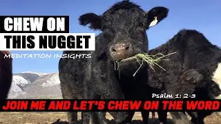 Like a cow that chews the cud, let's chew insight out of the word together through meditation