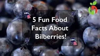 5 Fun Food Facts About Bilberries