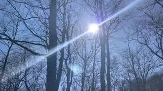 The beauty of euclid creek reservation...