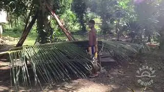 How Coconut Palm Fans Are Made | Traditional Craft Insight