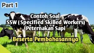 Contoh Soal Peternakan Sapi