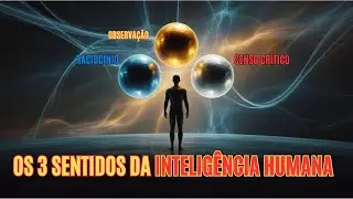 Observa&ccedil;&atilde;o, Racioc&iacute;nio e Senso Cr&iacute;tico &mdash; Os 3 Sentidos da Intelig&ecirc;ncia Humana
