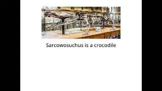 Sarkosophagus the most dangerous crocodile dinosaur of the middle titanosaur period