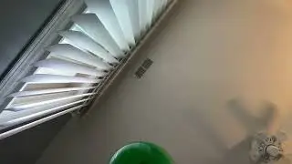 Balloon episode #31382