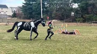 Halloween Spooktacular Liberty and Bridleless Freestyle (feat. Jack, Sally and Zero)