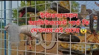 ইন্টারন্যাশনাল অ্যামিউজমেন্ট পার্কে কি কি আছে?