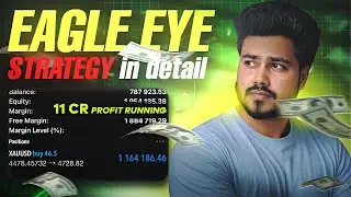 Eagle Eye strategy in detail | 10 Crore Running profit 