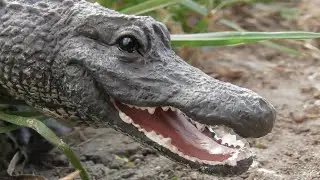 American Alligator - Toy Photography
