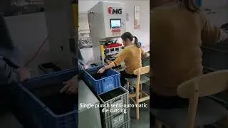 S30 ton single stamping rubber servo punch press die cutting machine #servopress #servomachine