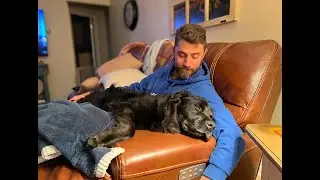 The Brothers Reed - Proud Father of a Three Legged Dog
