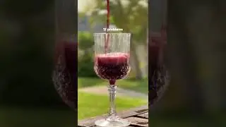 National Wine Day Drinkware