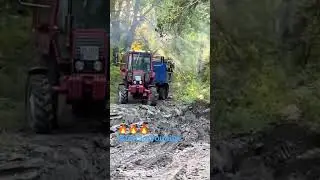 MTZ 82 POWER #johndeere #farming #fendt #mtz #newvideo #tractor #top #trend #tractorvideo