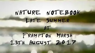 Late Summer@Frampton Marsh: 13th August 2017