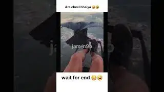 Cheel bhaiya 🤣 #trending #birds #india