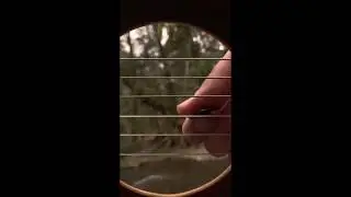Behind the Strings - Landscape IV (Deloume Park)