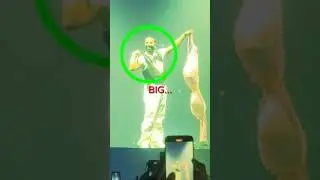 When FANS THROW THIINGS At ARTISTS!#music#funny#shorts#petshub