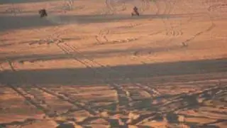 SDC10308