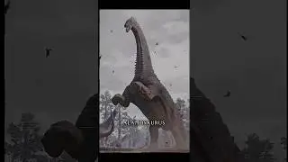 The top 10 most defensive dinosaurs ever... #dinosaur #prehistoric #oldearth #list #jurassic #edit