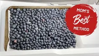 How to Freeze Blueberries - The Easy Way