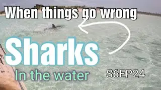 When things go wrong deep in the Bahamas S6EP24